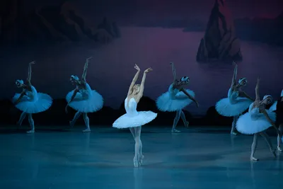 Уникальные фотографии Лебединого озера балет