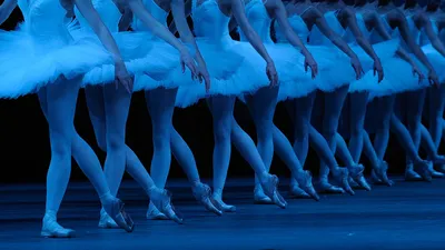 Изображения Лебединого озера балет в Full HD