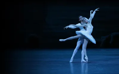 Фотографии Лебединого озера балет: бесплатно скачать в хорошем качестве
