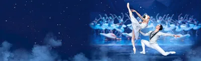 Лебединое озеро балет на веб-странице - великолепные обои в формате webp