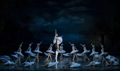 Лебединое озеро балет: фото в 4K разрешении, выберите формат JPG, PNG, WebP