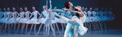 Фотографии Лебединого озера балет в прекрасном HD качестве