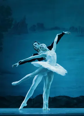 Фото Лебединого озера балет - прекрасное изображение природного чуда
