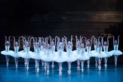 Красота Лебединого озера балет: фотографии в высоком разрешении
