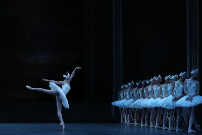HD фото Лебединого озера балет - детали будут просто потрясающими