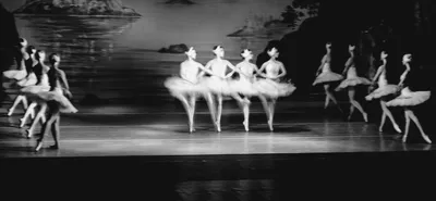 Арт фото Лебединого озера балет - искусство в объективе
