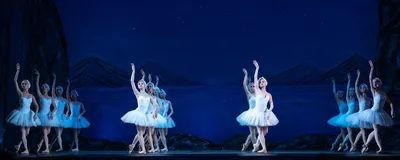 Фото на iOS Лебединого озера балет - добавьте изысканности на свое устройство