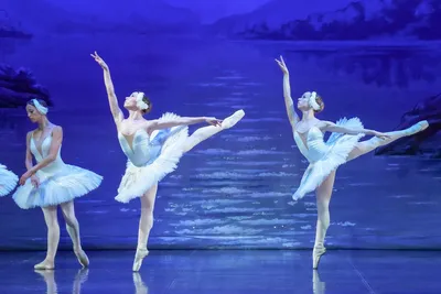 Волшебное Лебединое озеро балет: когда танец сливается с природой