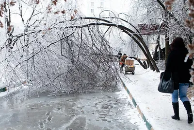 Сказочные виды Ледяного дождя в Москве: выберите изображение