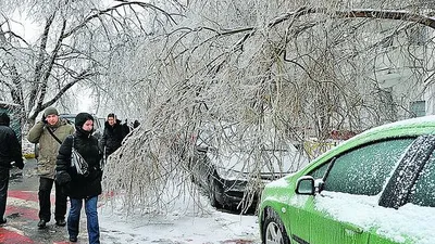 Зимние чудеса: снимки Ледяного дождя в Москве