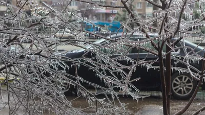 Московская зима: Ледяной дождь на фотографиях