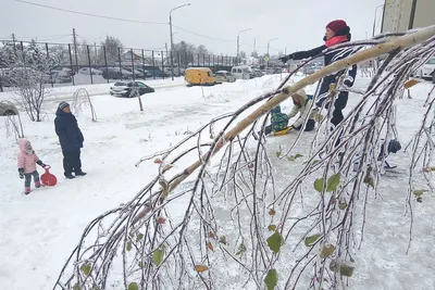 Зимние пейзажи: Московский ледяной дождь на камере