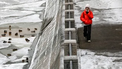 Зимние моменты: Ледяной дождь в Московском парке