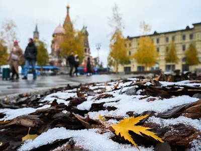 Зимние чудеса Москвы: Ледяной дождь на фото