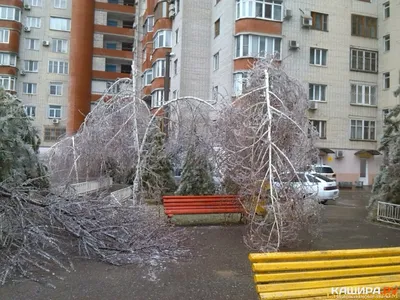 Ледяной дождь: изображения в хорошем качестве