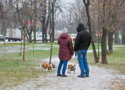 Ледяной дождь: волшебные gif изображения