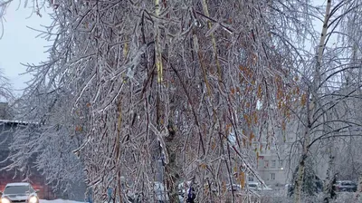 Ледяная симфония: красота дождя на фото