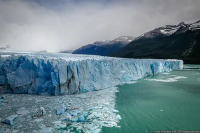 Фотографии Ледника Перито Морено - качественные снимки для скачивания