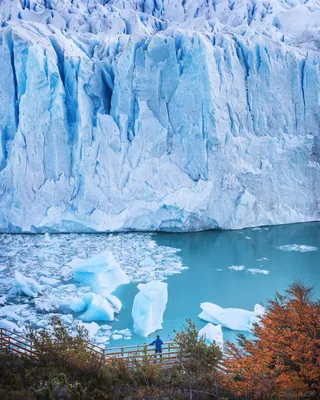 Фотографии Ледника перито морено, вдохновляющие к путешествиям