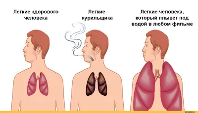 Создайте свою историю: Легкие человека в различных измерениях