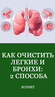 Фото человеческих легких: Настройте изображение по своему вкусу
