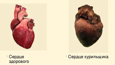 Курение искусства: Легкие человека в различных форматах изображений