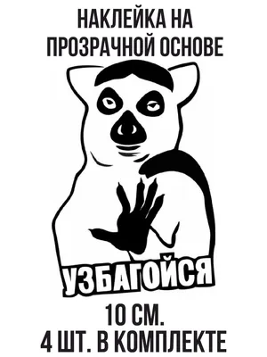 Лемур узбагойся: Новые картинки обезьян для твоего удовольствия.