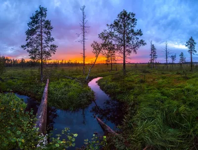 Фотоальбом Ленинградской области: открытие новых горизонтов