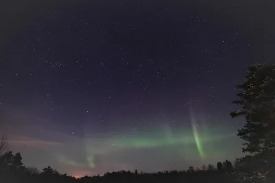 Фото Ленинградской области: города и поселки