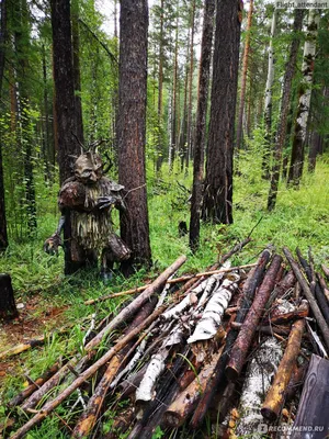 Фотопрогулка по Лесу чудес Иркутска: уникальные пейзажи