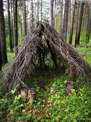 Бескрайние просторы Леса чудес Иркутска: впечатляющие фотомоменты