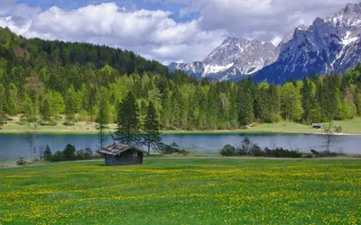 Фото леса и реки в формате PNG: сохраните прозрачность