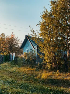 Лес в сентябре: арт-фотографии для творческой вдохновения