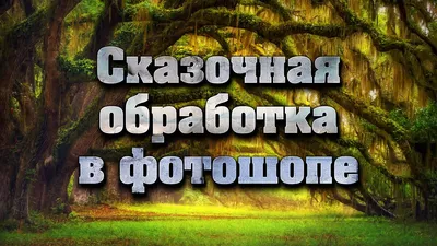 Лес на обоях: свежие изображения для скачивания бесплатно