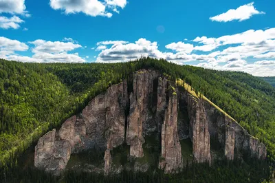 Фото лесов Якутии - бесплатно скачать в 4K, HD разрешении