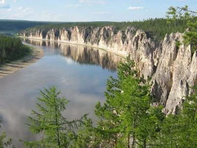 Фотоэкскурсия по лесам Якутии: взгляд с фотоаппарата