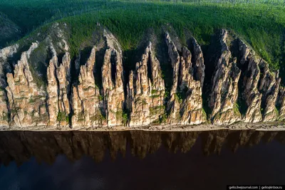 Освежите душу фото лесов Якутии