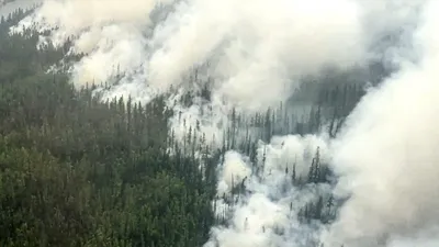 Фото лесов Якутии в хорошем качестве