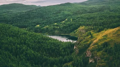 Изображения лесов Якутии - выберите размер и формат для загрузки