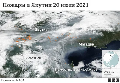 Фото лесов Якутии в HD качестве: бесплатно скачать обои на телефон