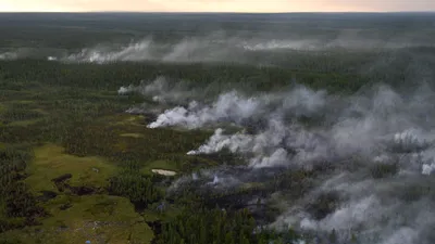 Фотографии лесов Якутии: уникальное искусство на фоне природы