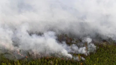 Волшебные фотографии лесов Якутии: HD изображения на андроид