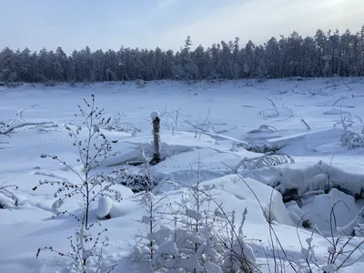 Путешествие в сердце Якутского леса