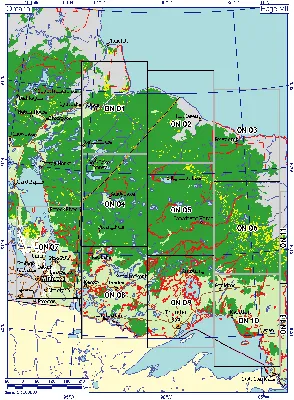 Природная красота, запечатленная на фото - Леса Канады