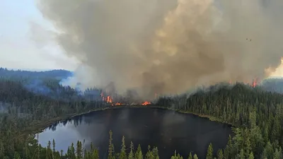 Лучшие фотографии леса Канады в хорошем качестве