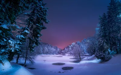 Зимние ночи в лесной тишине: изображения для загрузки