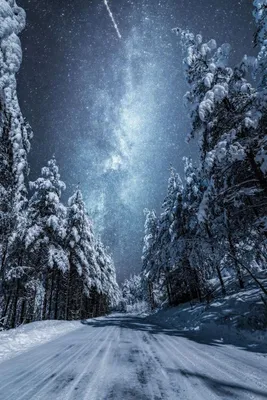 Волшебство зимних ночей: изображения для скачивания