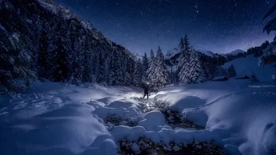 Зимние ночи в лесу: формат и размер изображения на выбор