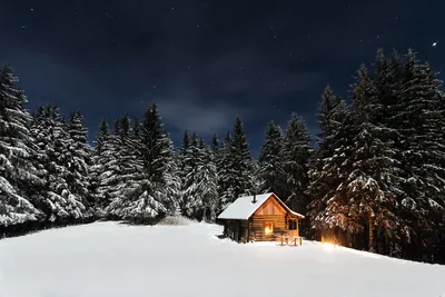 Зимние ночи под звездным небом: изображения в высоком разрешении
