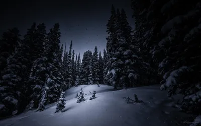 Фотографии зимней природы: скачивайте в любом формате